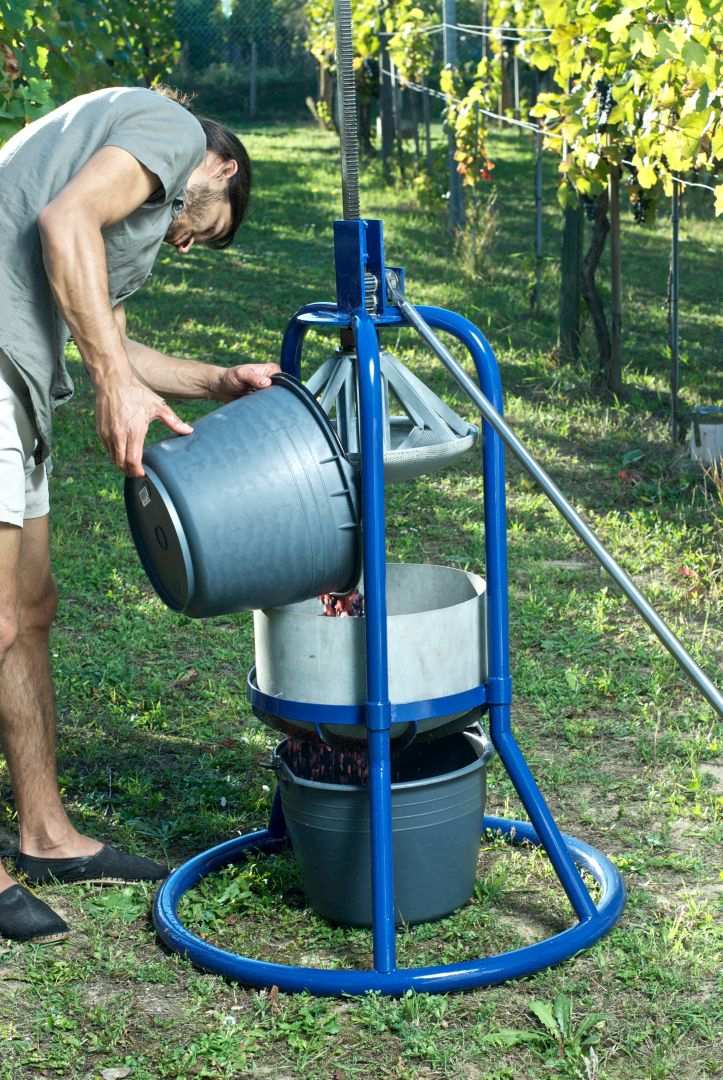 weinpresse001